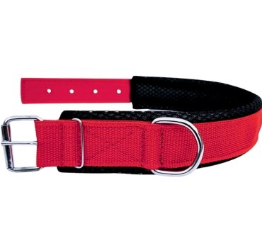Dog Soft Padded Collar – Comfortable & Durable