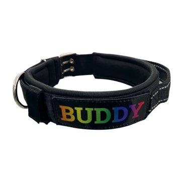 Soft Padded Double Pin Tactical Collar – Durable & Comfortable