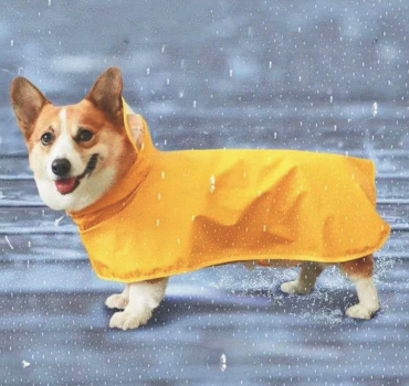 Dog Raincoat (Half Sleeves) – Waterproof & Comfortable