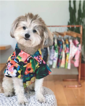 Dog Summer Shirt – Lightweight & Stylish Pet Apparel